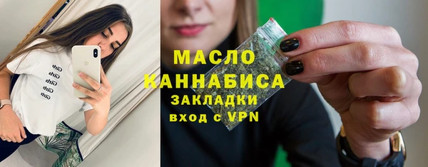 гидра Горнозаводск