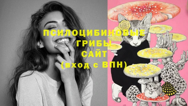 гидра Горнозаводск