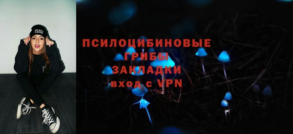 молекула духа Горно-Алтайск