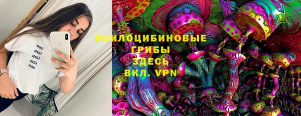 гидра Горнозаводск