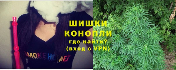 молекула духа Горно-Алтайск