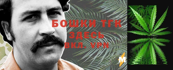 гидра Горнозаводск