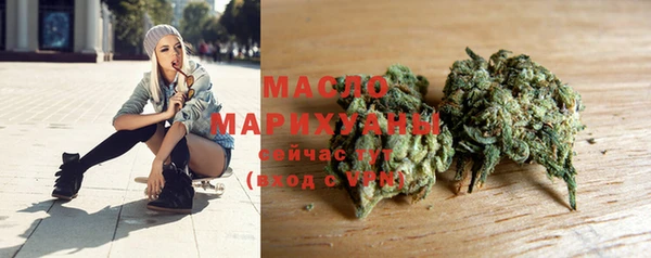 гидра Горнозаводск