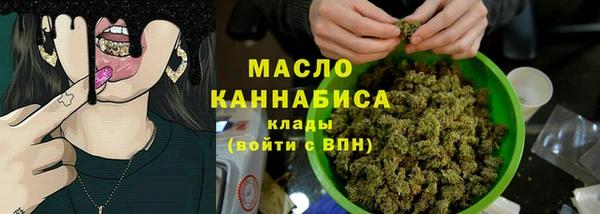 гидра Горнозаводск